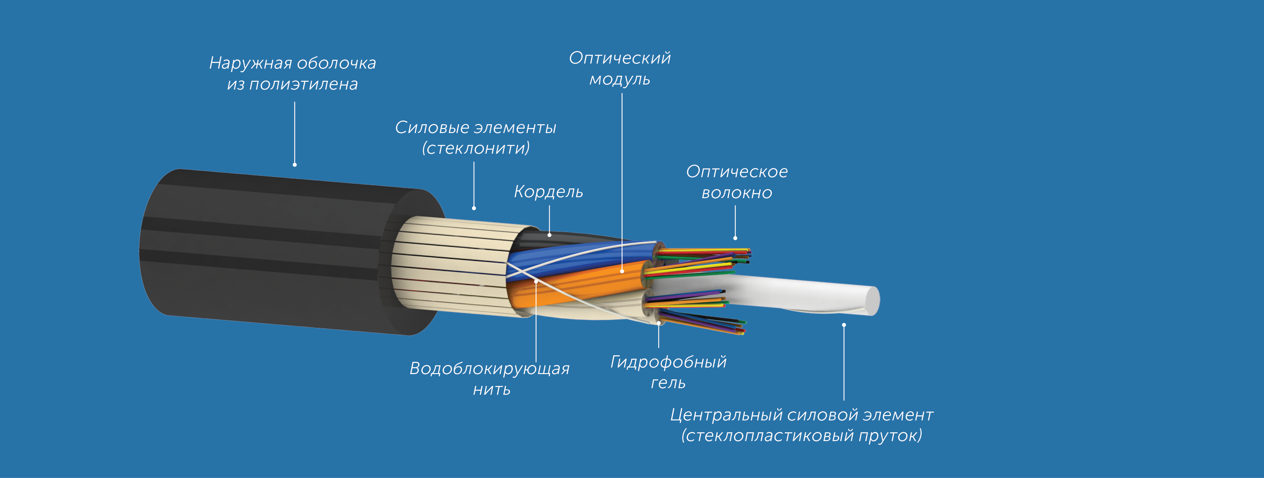 79b3315bd2ef11e980bd000c29d70fd6_c50203b33c1311ec80dd000c29d70fd6